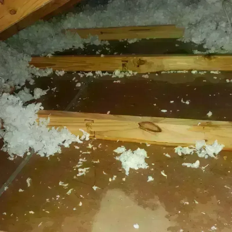 Attic Water Damage in Sundance, WY