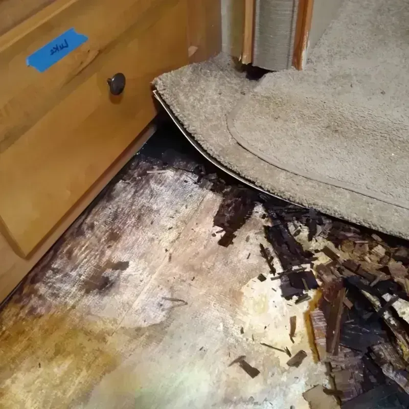 Wood Floor Water Damage in Sundance, WY